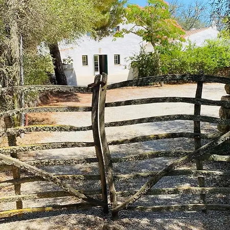 Holiday Finca Binietsau Holiday home